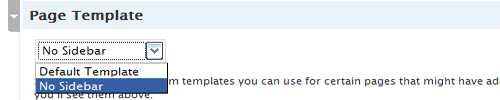 Setting the No Sidebar page template
