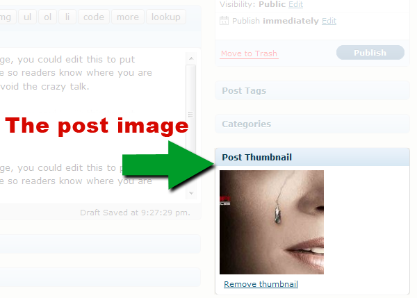 Screenshot of WordPress 2.9's post image uploader