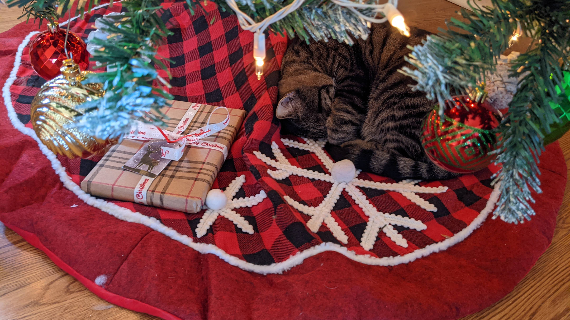 Tabby cat sleeping beneath a Christmas tree.