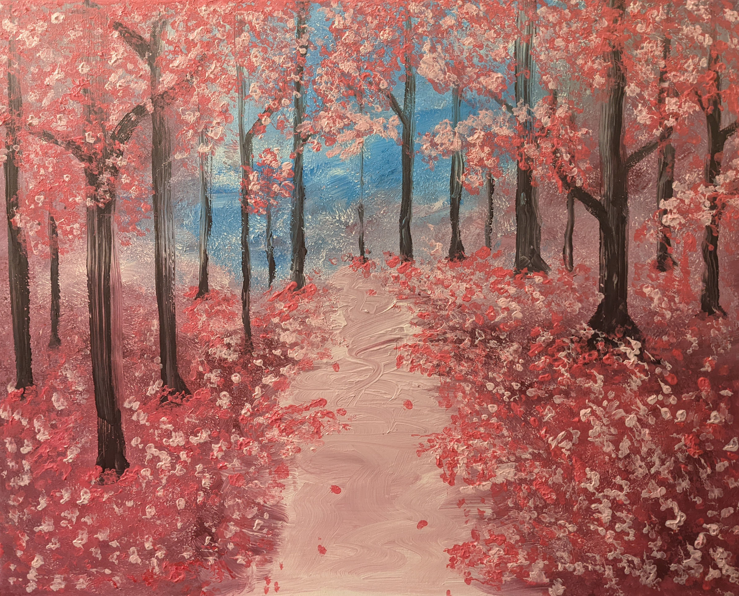 A forest of trees with pink and white blooms. Their petals have covered the forest floor. Pathway in the center.