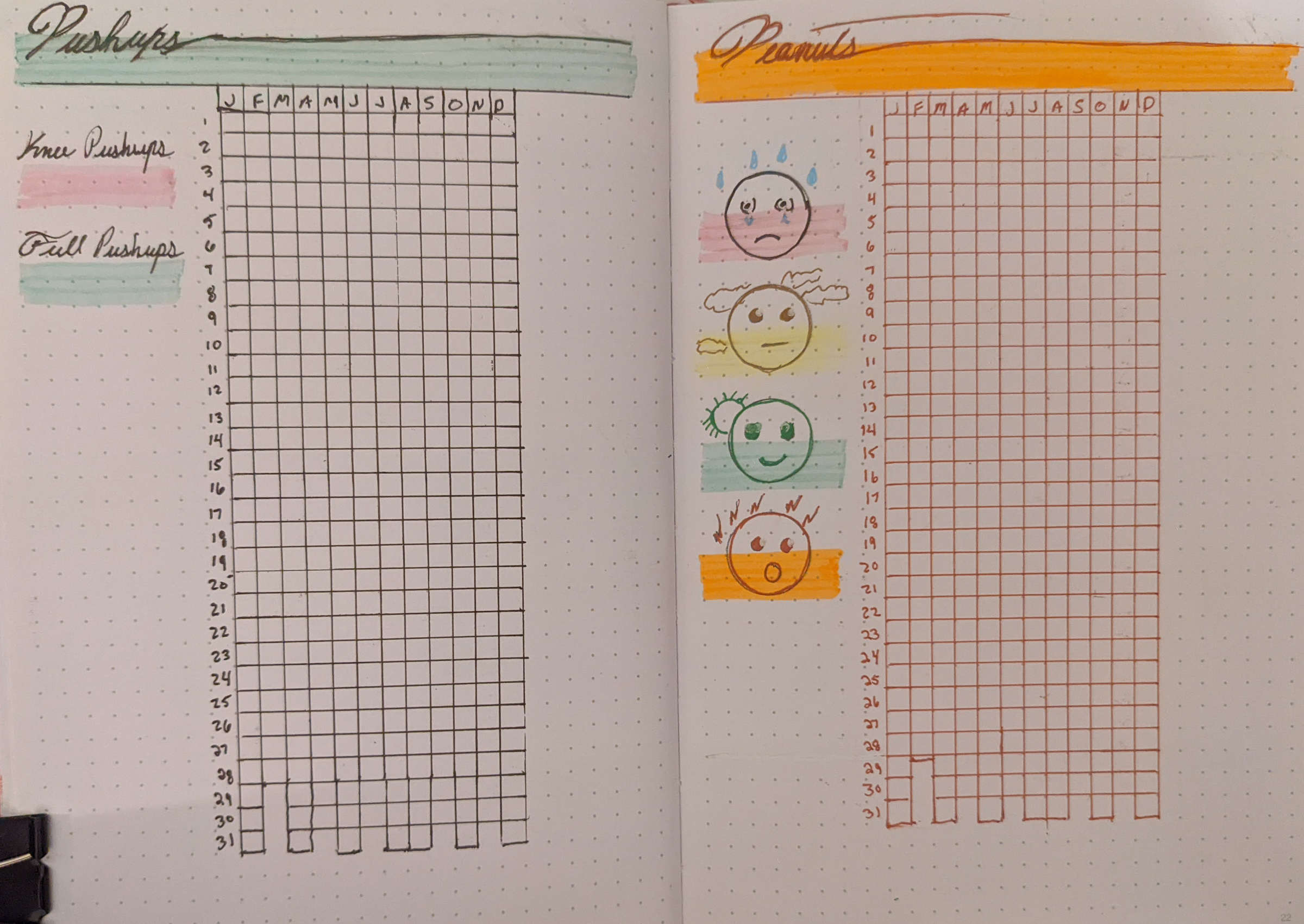 Two-page bullet journal spread. On the left is a “pushups” tracker. On the right is a “peanuts” tracker.