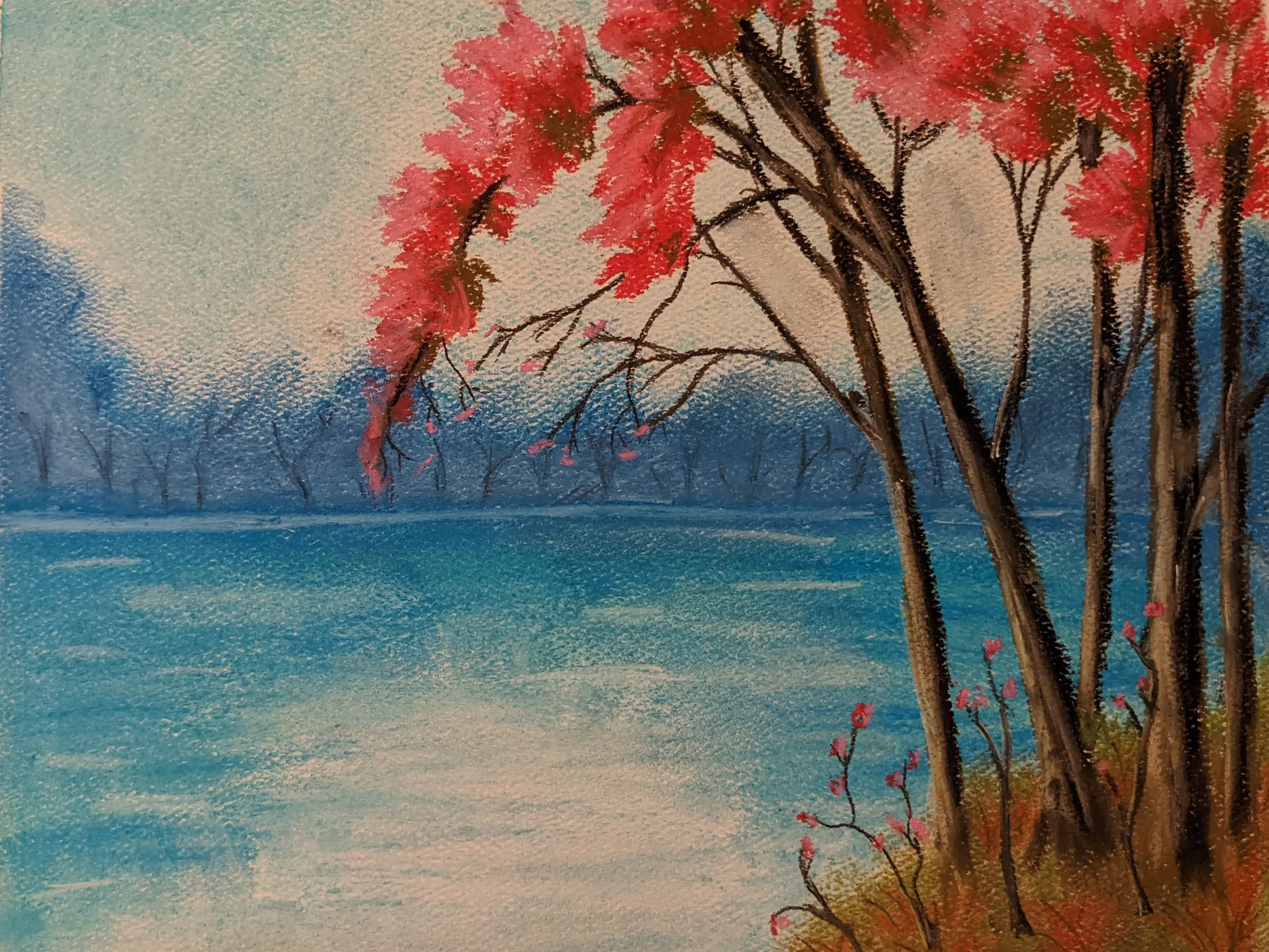 Cherry blossoms trees overhanging the edge of a lake, drawn in soft pastels..