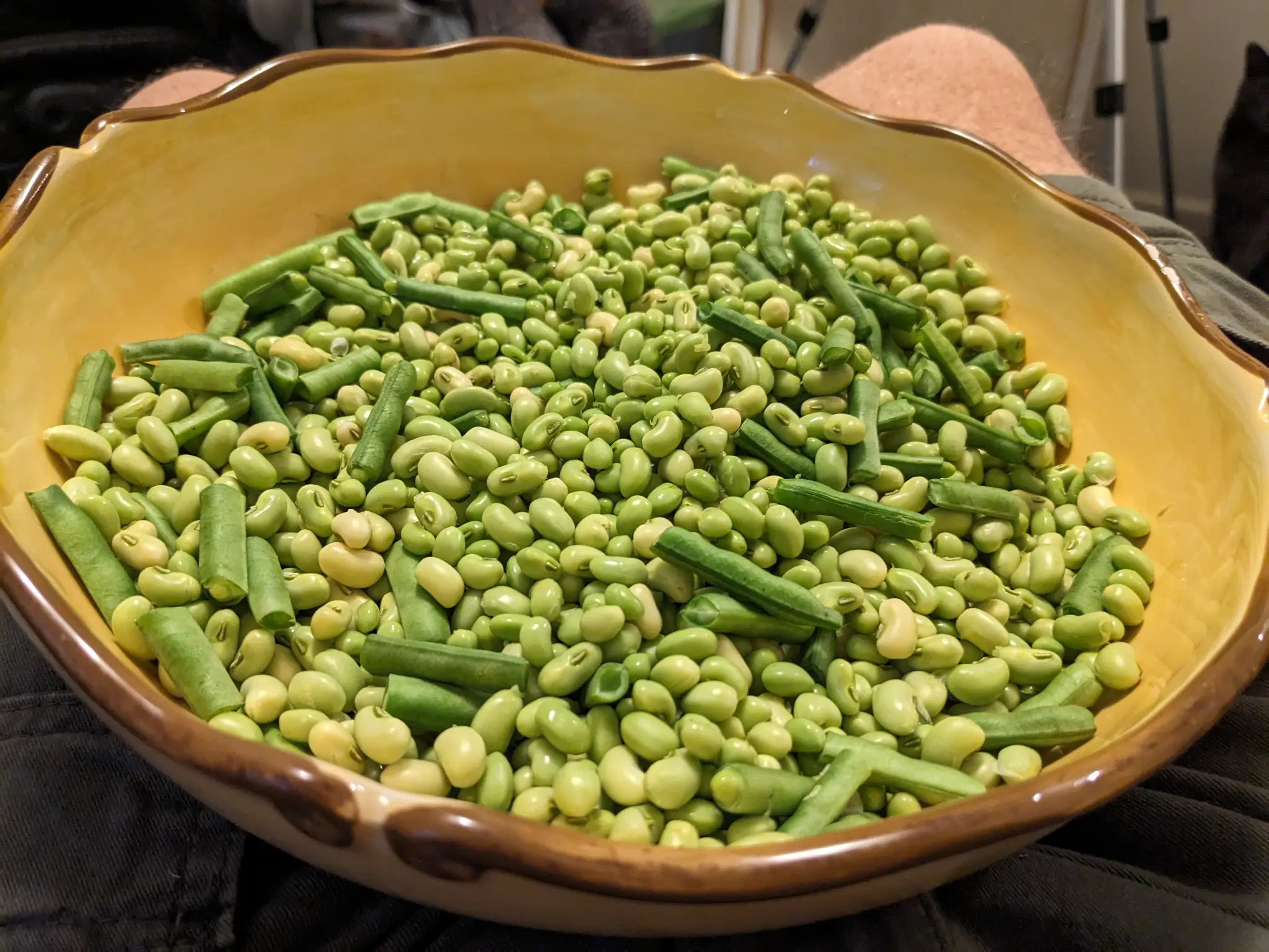 A bowl of shelled Texas Cream 40 peas.