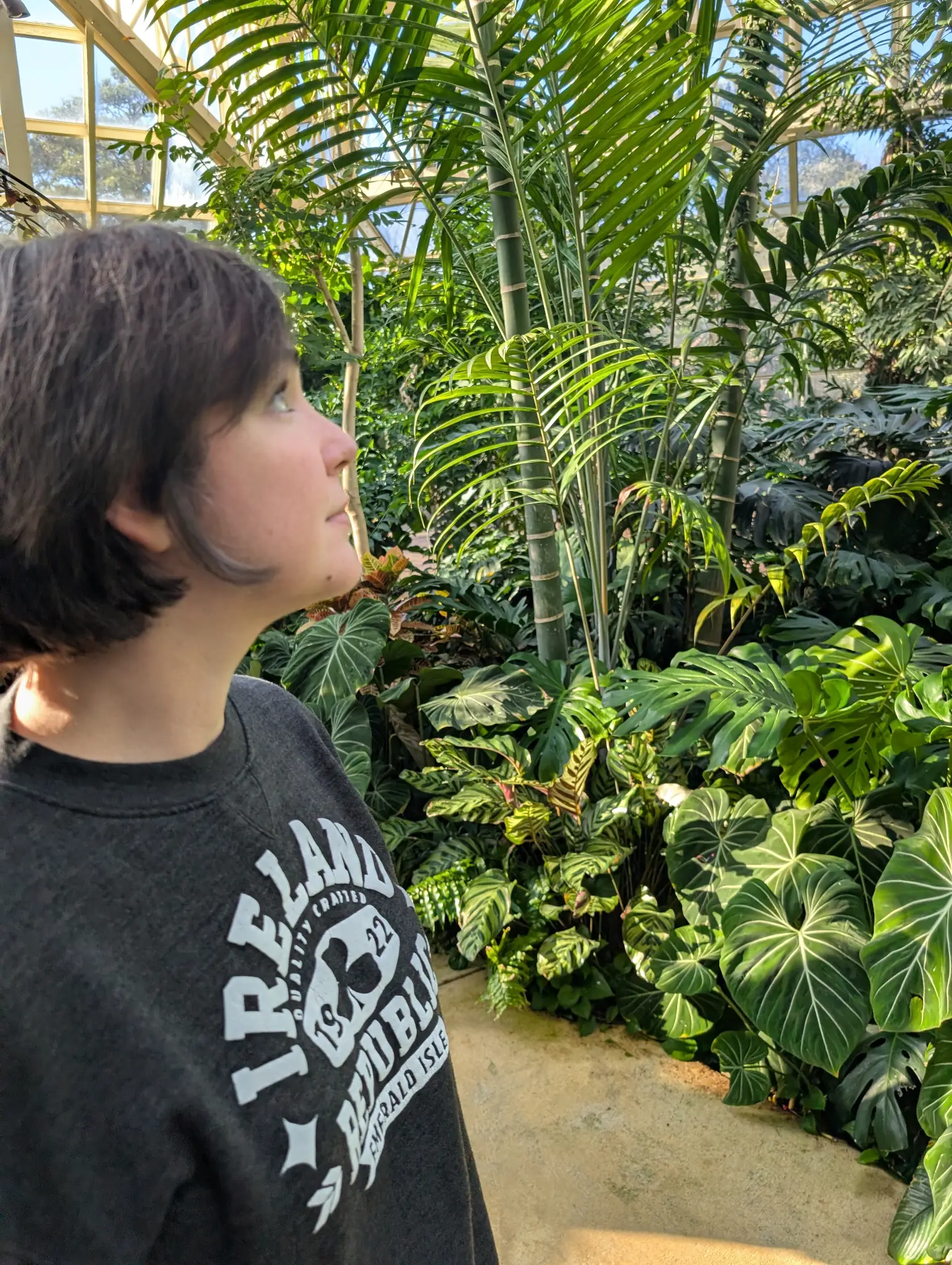 Ashley looking at butterflies in a conservatory with lots of trees and flowers.