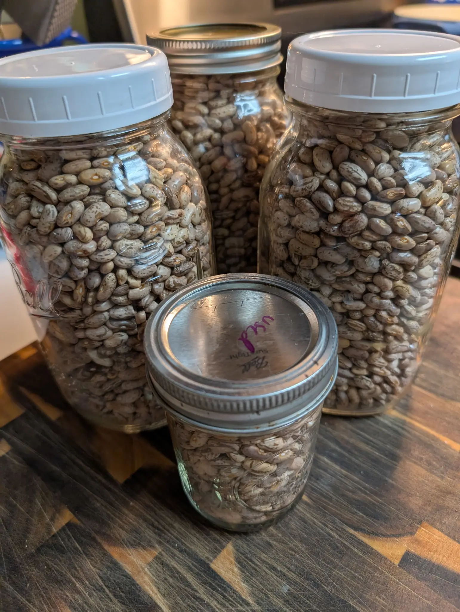 Over three quarts of dry beans.