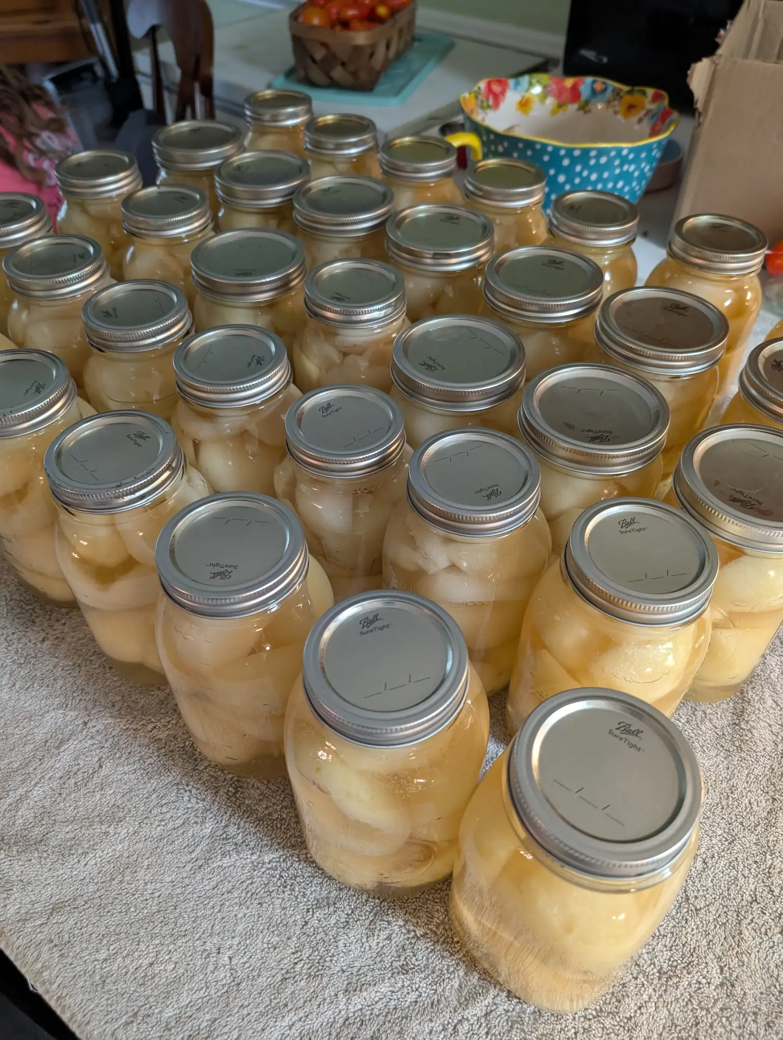 Rows of canned pears on a kitchen counter.